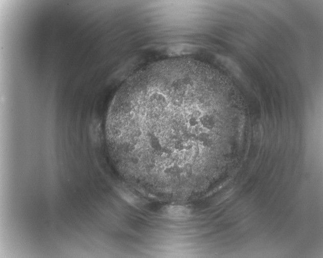 X0000070860327200606302052