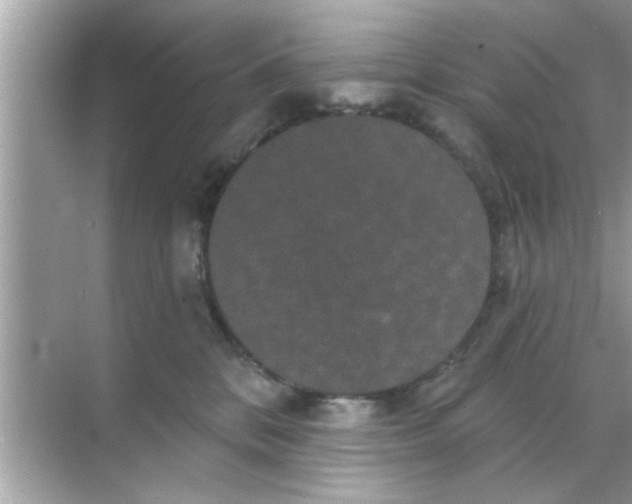 X0000070860328200606302052