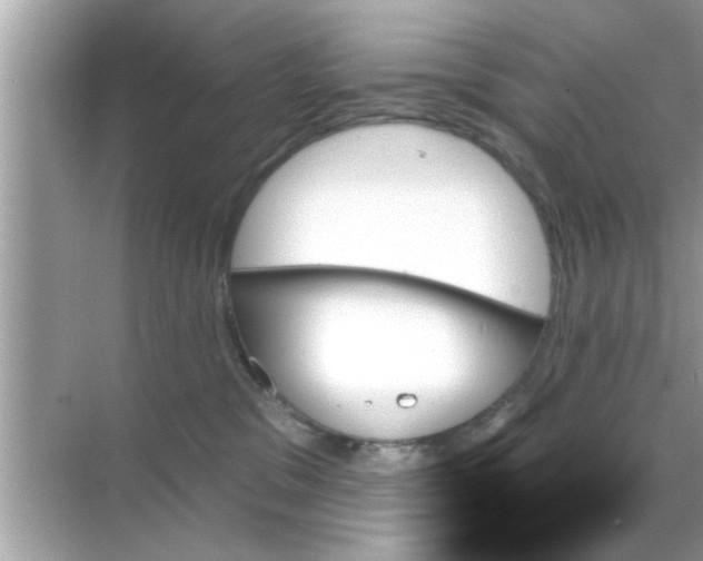 X0000070860329200606302052