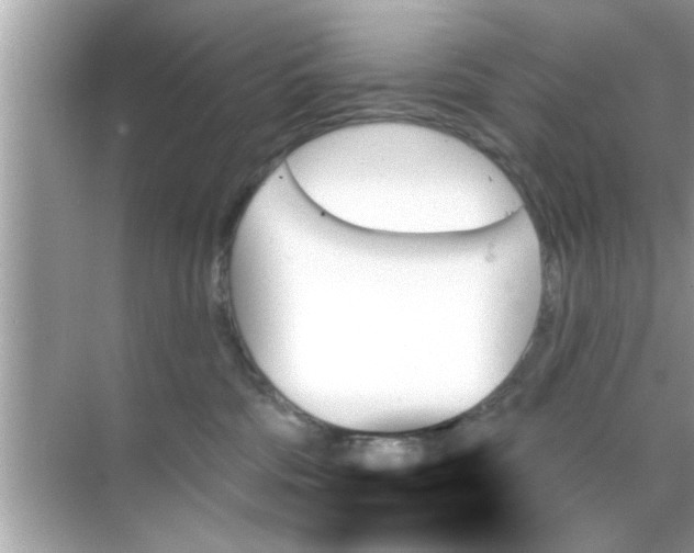 X0000070860330200606302052