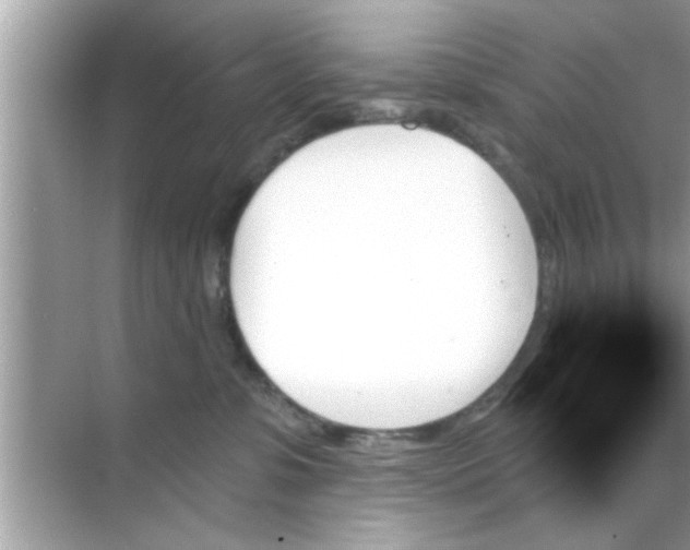 X0000070860331200606302052