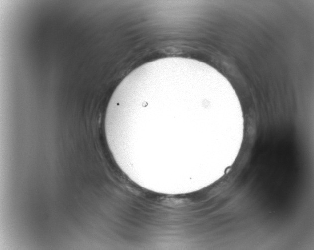 X0000070860332200606302052