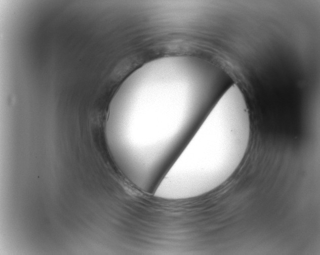 X0000070860333200606302052