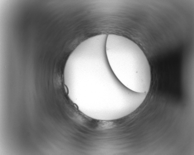 X0000070860334200606302052