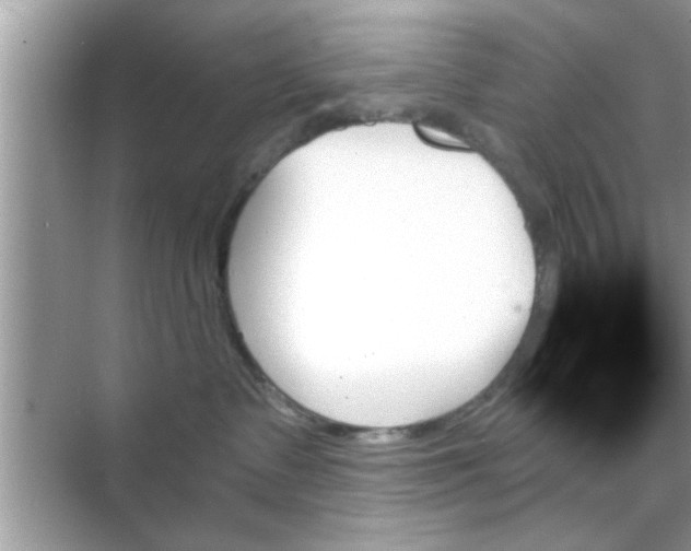 X0000070860335200606302052