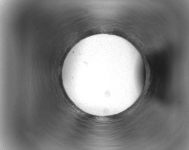 X0000070860336200606302052