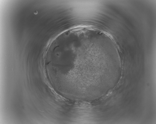 X0000070860337200606302051