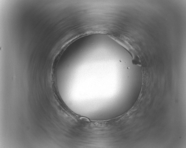 X0000070860338200606302051