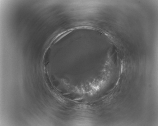 X0000070860339200606302051