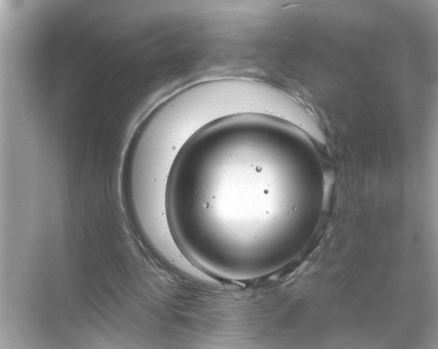 X0000070860340200606302051