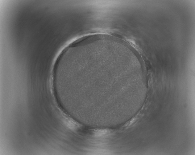 X0000070860342200606302051