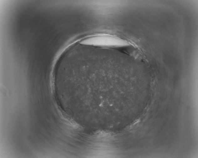 X0000070860343200606302051