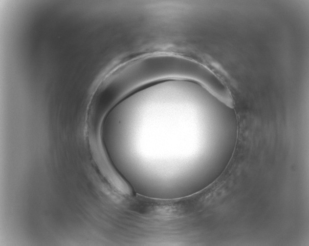 X0000070860344200606302051