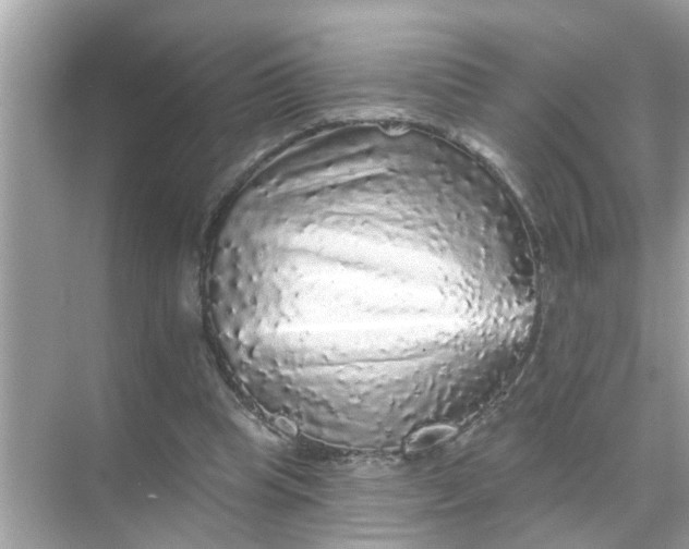 X0000070860345200606302051