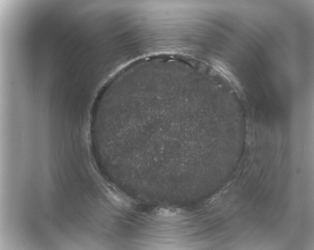 X0000070860346200606302051