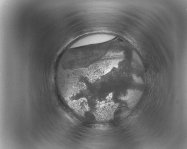 X0000070860347200606302051