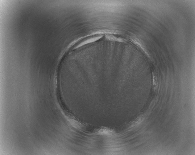 X0000070860348200606302051