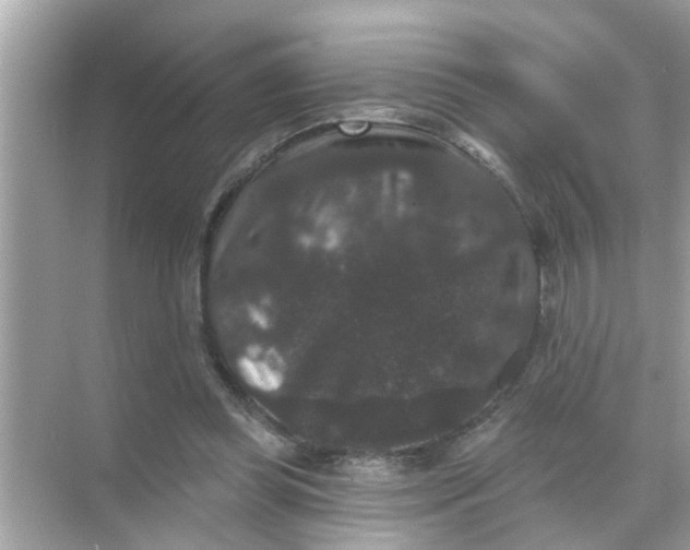 X0000070860349200606302051