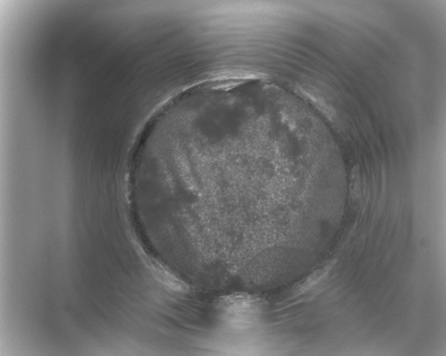 X0000070860351200606302051