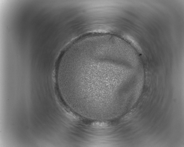 X0000070860354200606302052