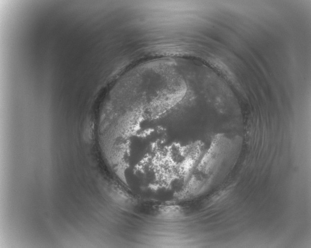 X0000070860355200606302052