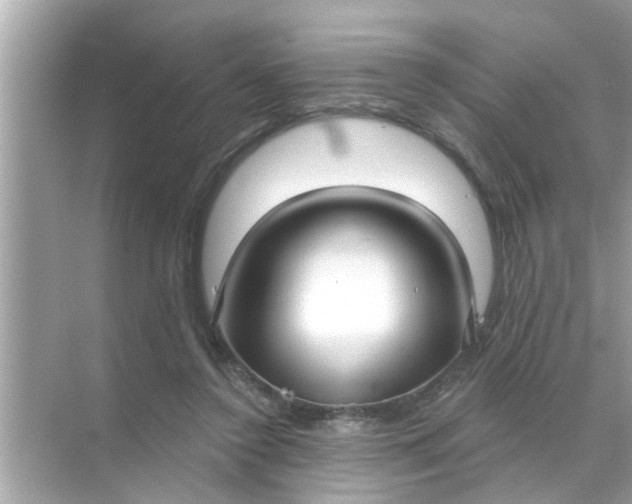 X0000070860356200606302052