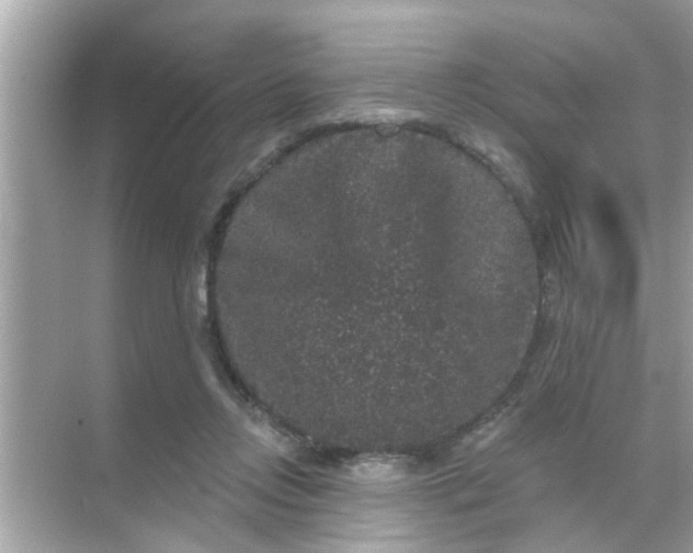 X0000070860358200606302052