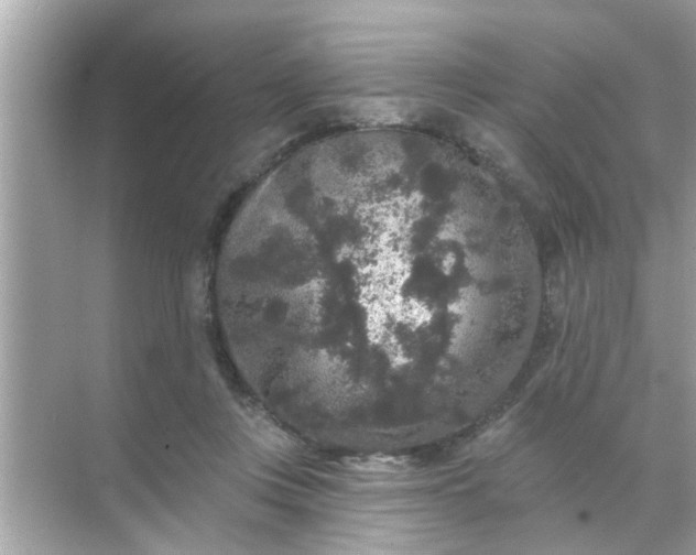 X0000070860359200606302052