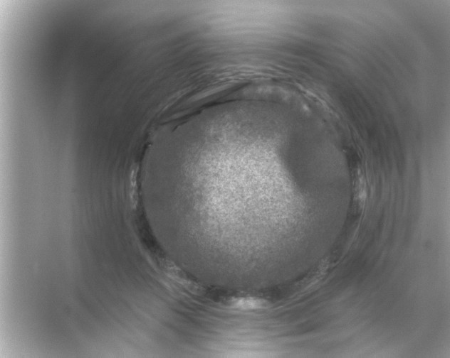 X0000070860360200606302052