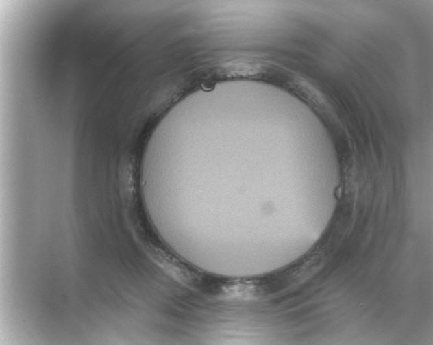 X0000070860362200606302052