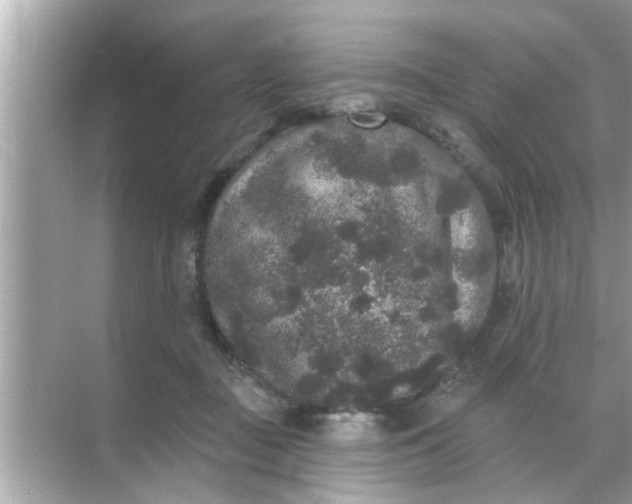 X0000070860363200606302052