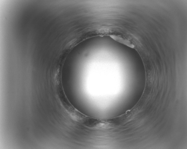 X0000070860364200606302052