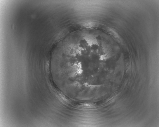 X0000070860365200606302052