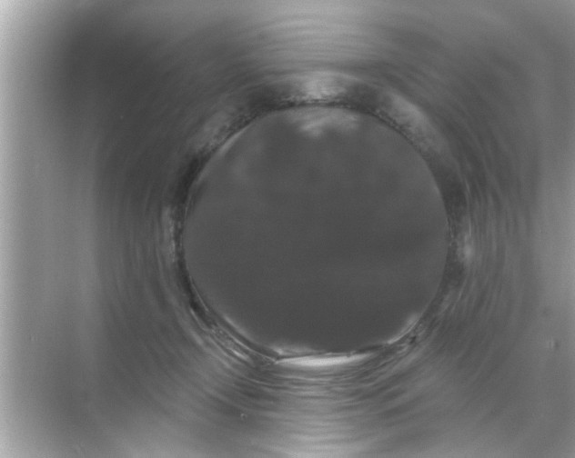 X0000070860366200606302052