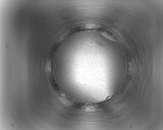 X0000070860368200606302052