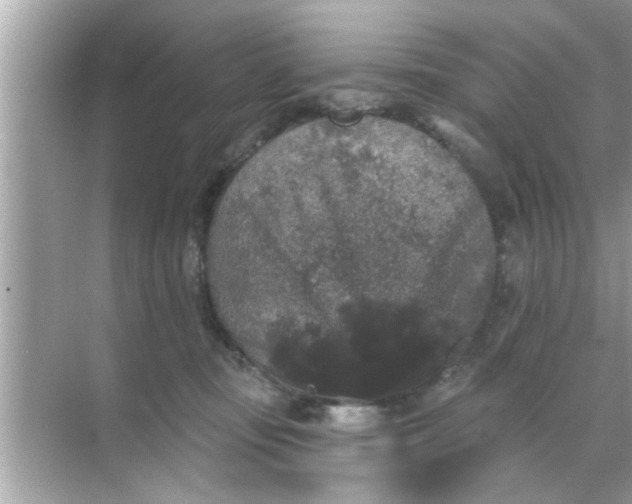 X0000070860371200606302052