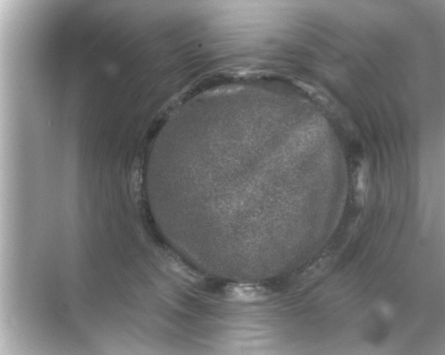 X0000070860372200606302052