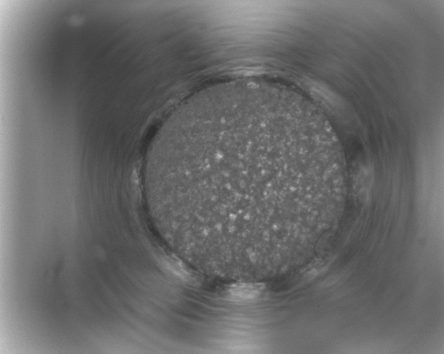 X0000070860373200606302052