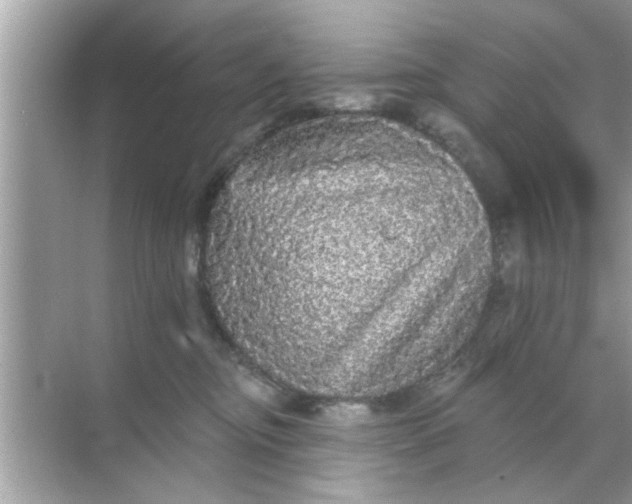 X0000070860374200606302052