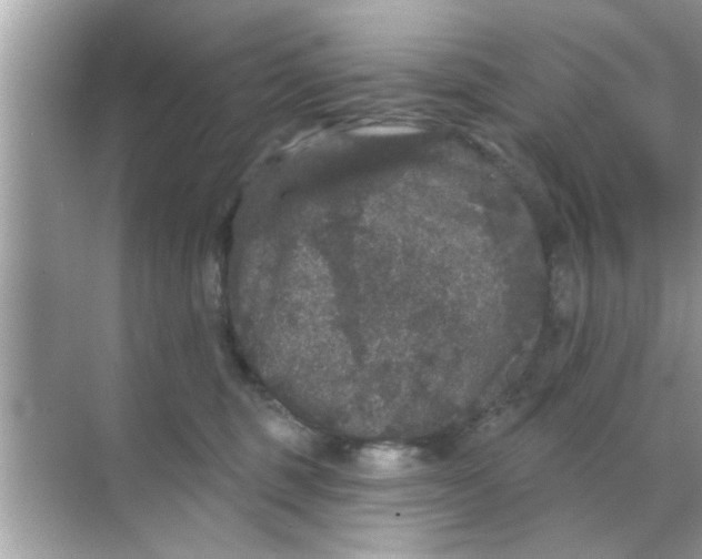 X0000070860375200606302052