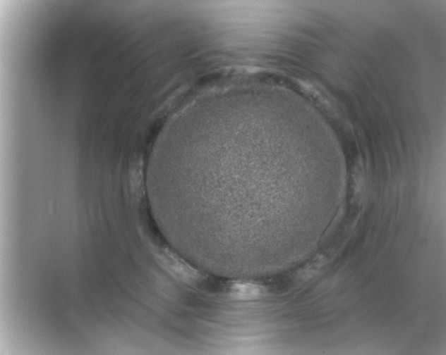 X0000070860376200606302052