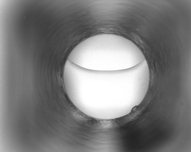 X0000070860377200606302052