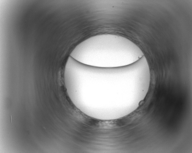 X0000070860378200606302052