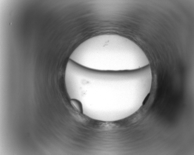 X0000070860379200606302052