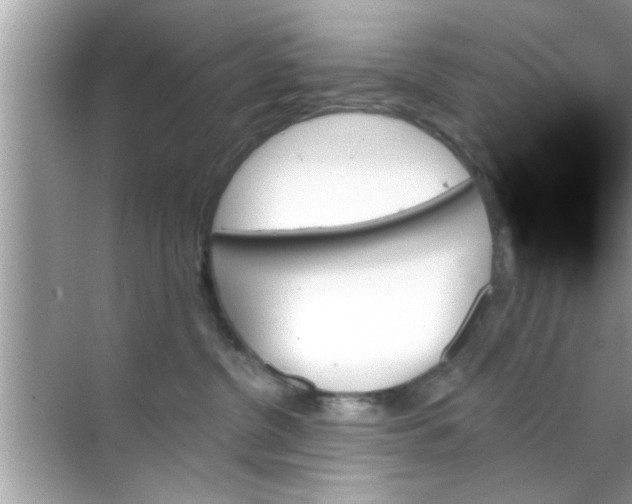 X0000070860380200606302052