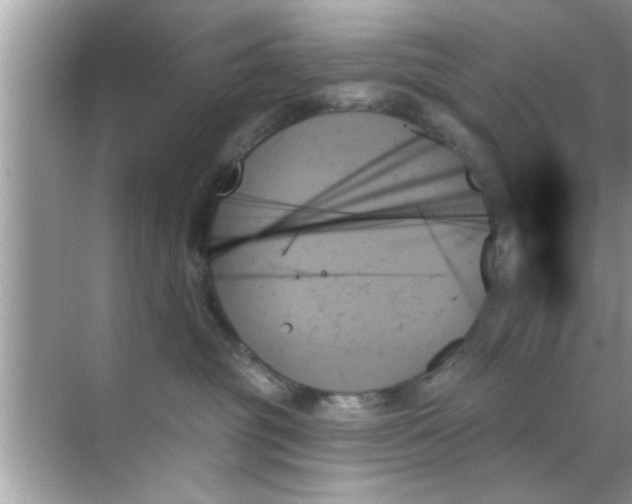 X0000070860381200606302052