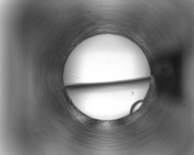 X0000070860382200606302052