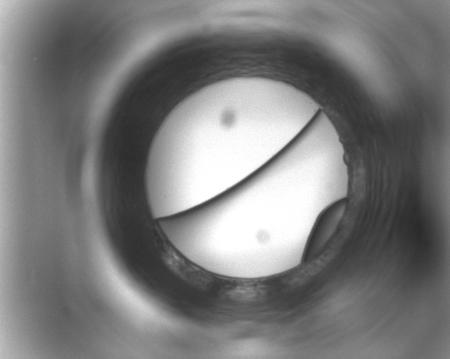 X0000070860383200606302052