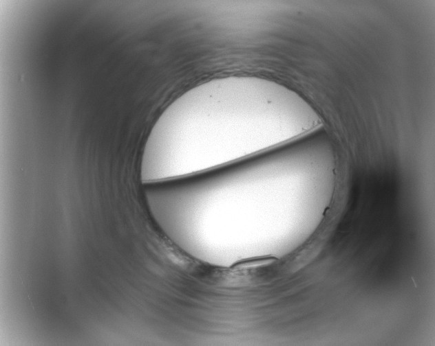 X0000070860384200606302052