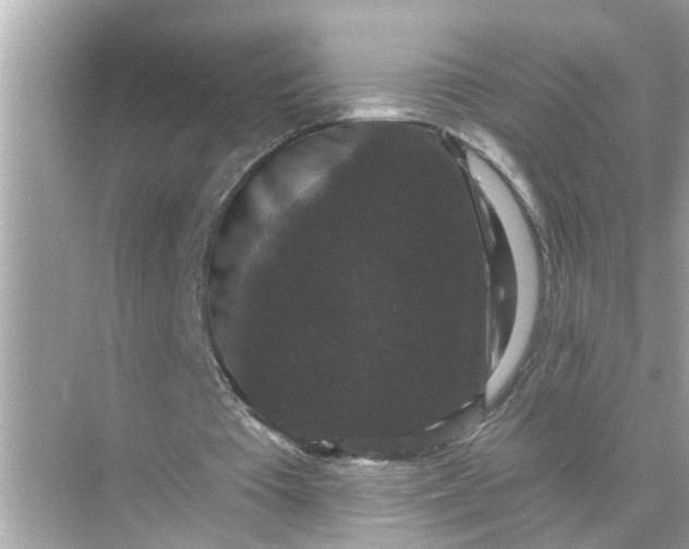 X0000070860385200606302051